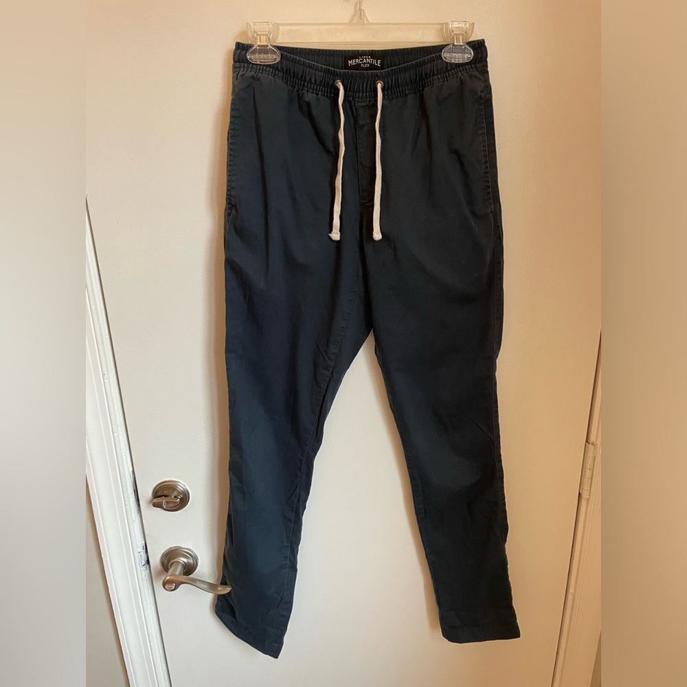 J. Crew Factory Elastic Waist Chino Pants